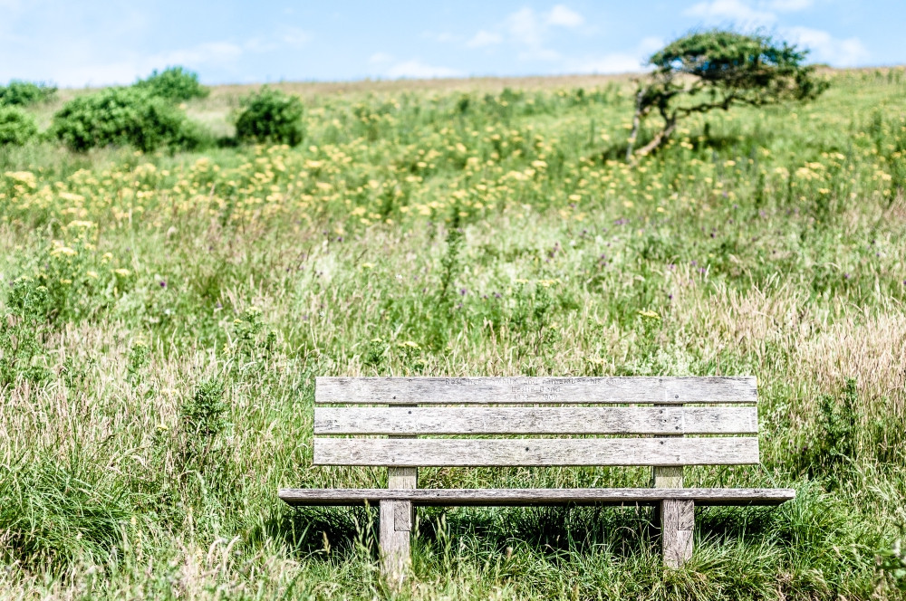 Bench