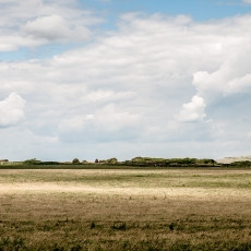 Barn