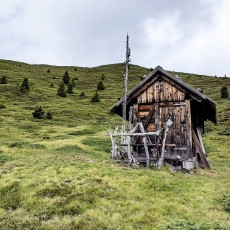 Wooden Hut