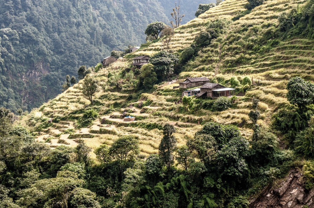 Huts on the slope