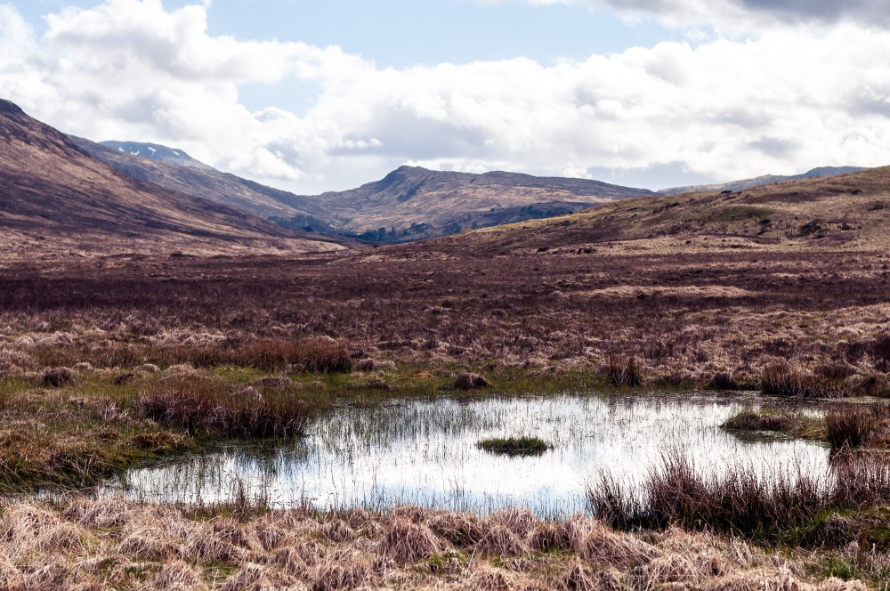 Bog Pont