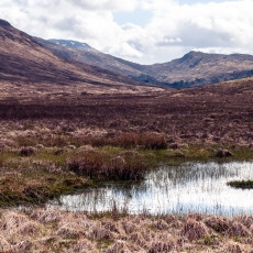 Bog Pont