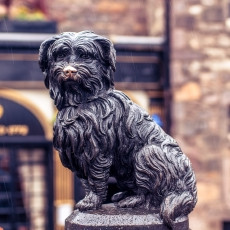 Greyfriars Bobby